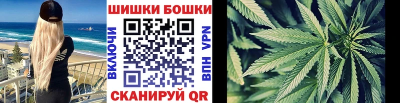 Каннабис конопля  Олонец 
